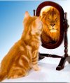 Asesor�a Emocional Subjetiva (Taller)